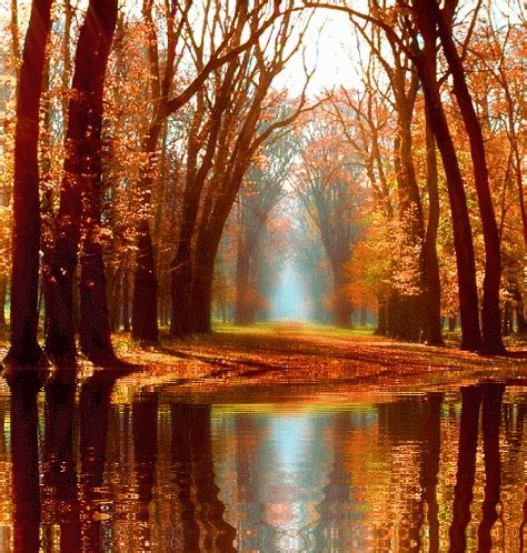 Пейзажи и природа движущиеся картинки