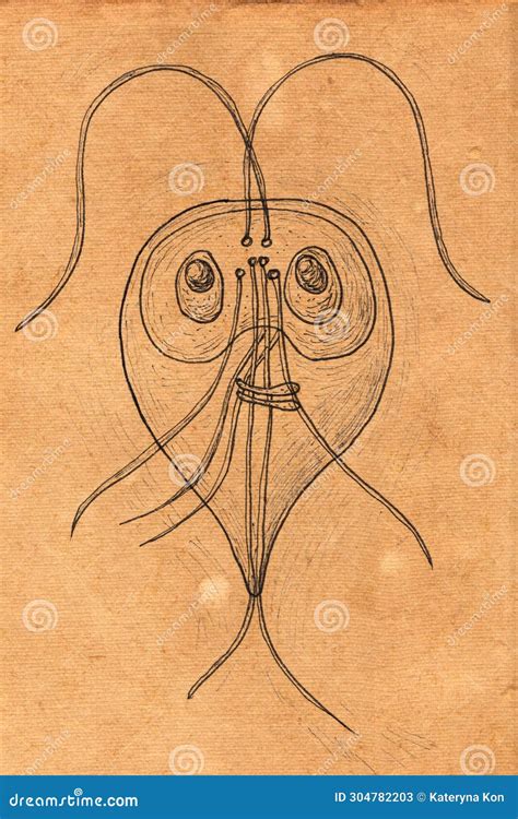 Scientific Pen and Ink Illustration of Giardia Lamblia Protozoan on ...