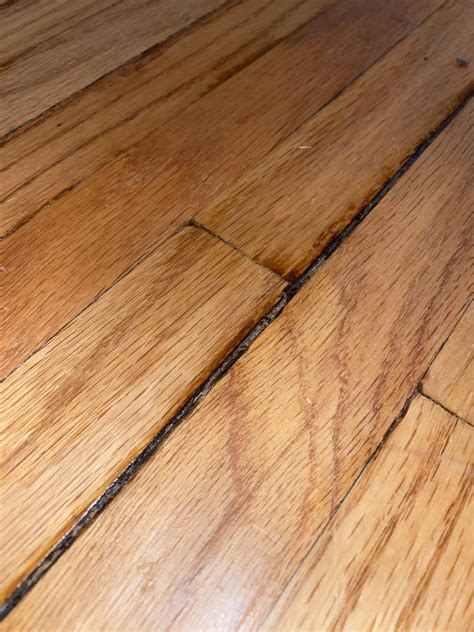 Hard wood floor damage and shrinkage : r/Flooring