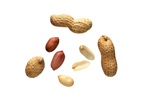 nuts   transparent background  png