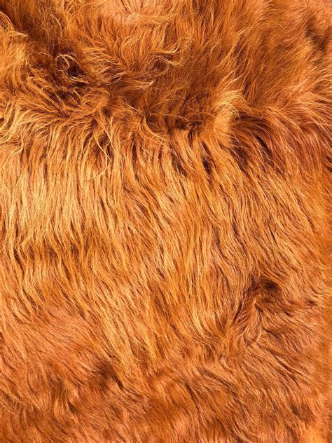 Highland Hides — Sky Pastures Farm