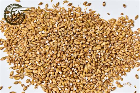 Sauermalz (Кислый солод) * Hop & Malt