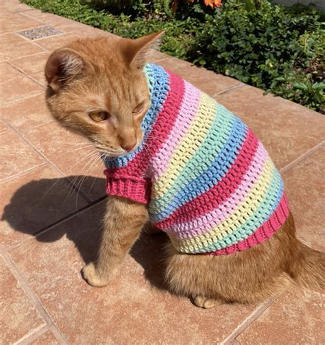 Crochet Cat Sweater Free Pattern Clothes Patterns Pet Knitting Etsy ...
