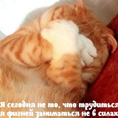 Красивые картинки и открытки с надписями, поздравления и пожелания ...