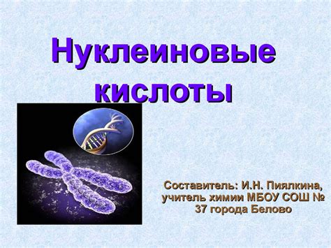 Нуклеиновые кислоты. ДНК, РНК - презентация онлайн