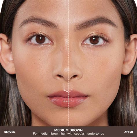 brow powder duo anastasia beverly hills