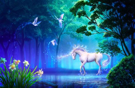 real unicorn wallpapers top  real unicorn backgrounds