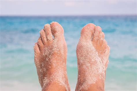 Fotos De Pés Na Praia - Pés na praia imagem de stock. Imagem de azul, praia, tropical - 2586039