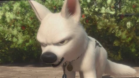 Bolt - Disney's Bolt Photo (34335861) - Fanpop