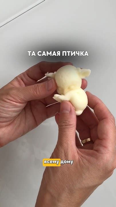 Это та самая птичка!!! Читай комментарии🔻 #обучениекондитеров #рецепты ...
