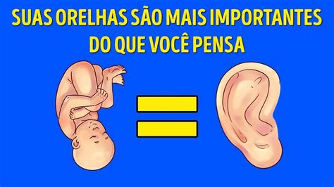 Quem Tem Orelha Pequena Vive Menos - O Que Suas Orelhas Revelam Sobre Você - YouTube