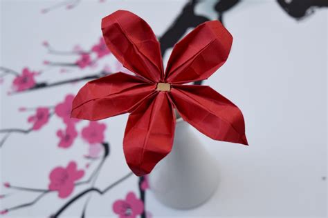 foto gratis arte dettagli fiore origami carta rosso presente