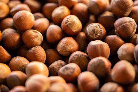 The Benefits of Hazelnut Milk, Plus the Best Brands to Try | VegNews