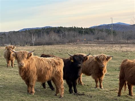 Autumn Rayne Acres added a new photo. - Autumn Rayne Acres