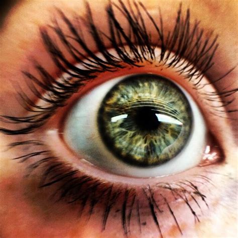 cool eye cool eyes pretty green eyes