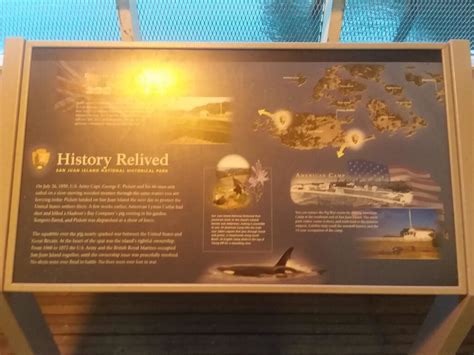 The pig that nearly triggered a war between America and Britain in 1859 ...