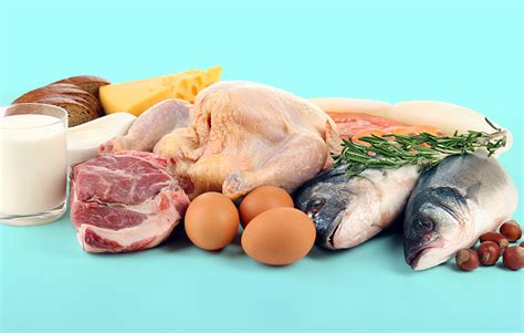 Таблица кето-продуктов, богатых белком