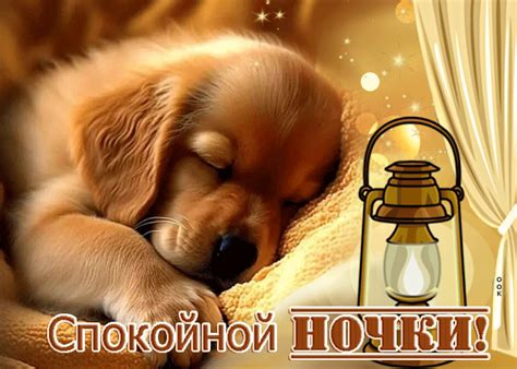 Безупречная гиф-открытка Спокойной ночки- Скачать бесплатно на ...