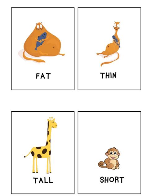 Flashcards - Tall Short Fat Thin | PDF