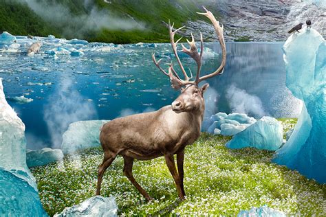 Terra Incognita on Behance