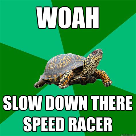WOAH SLOW DOWN THERE SPEED RACER - Torrenting Turtle - quickmeme