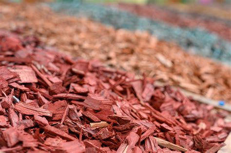 Wood vs Rubber Mulch: Benefits, Differences & Best Uses