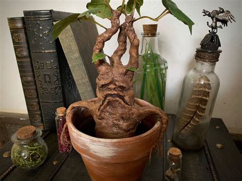 DIY baby mandrake root | Harry potter props, Harry potter decor, Harry ...
