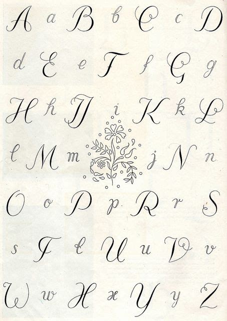 shapes strokes practices  cursive handwriting artofit