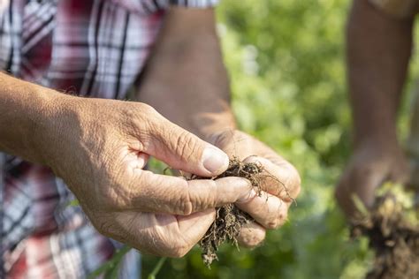 NUTRO™ Awards $300,000 in Soil Growth Grants to Support Healthy Soil