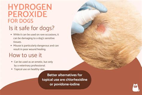 Is Hydrogen Peroxide Safe for Dogs? - Uses and Contraindications