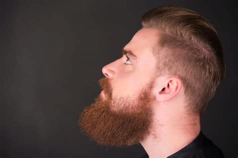 fade style  beard neckline  amazing bald beards