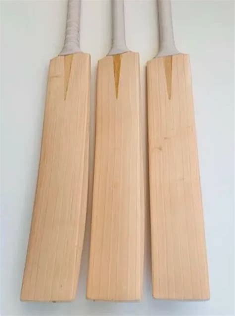 short handle natural cricket bat ms dhoni profile   price