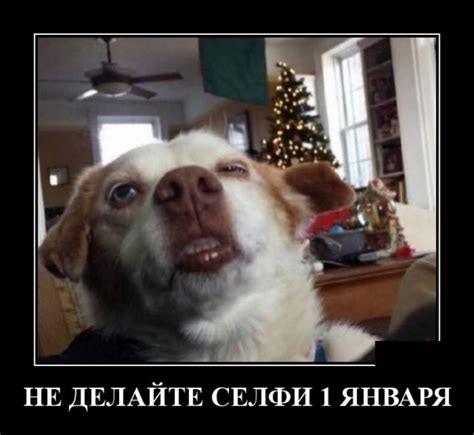 Демотиваторы. Великолепно! / Писец - приколы интернета
