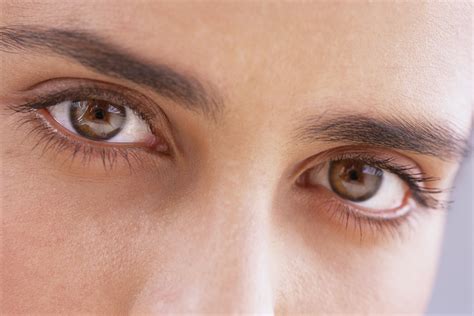 Facts about the Eye |The Eye