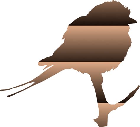 Download Kraska SVG | FreePNGImg
