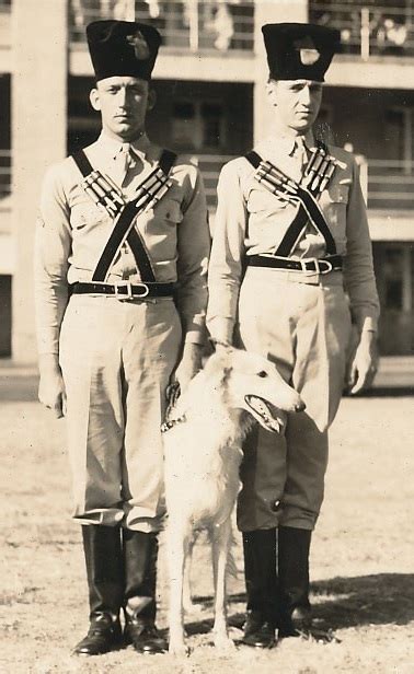 Kolchak, Regimental Mascot – The Wolfhound Pack