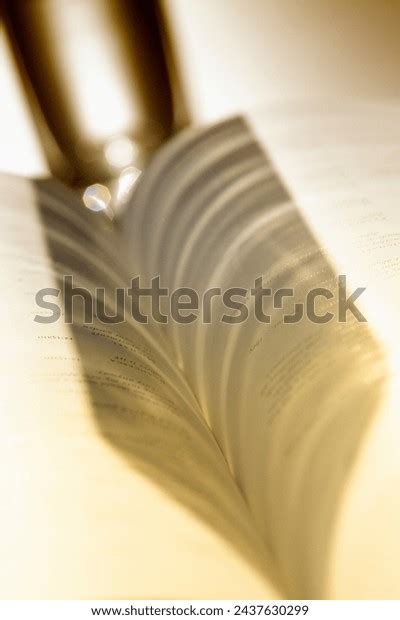 page book closing images stock   objects vectors