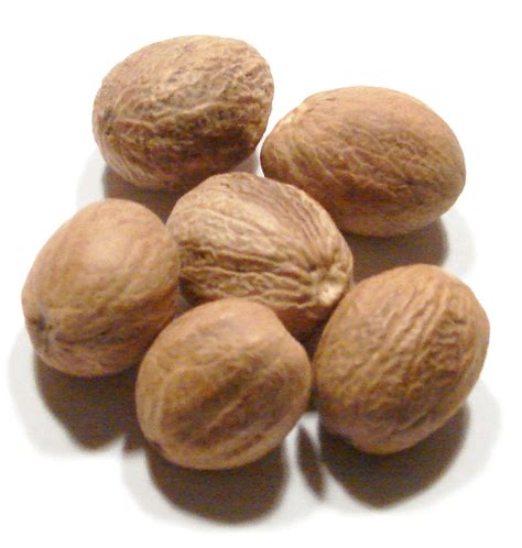 nutmeg din dayal  sons