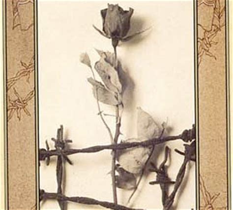 Fandomania » Book Review: Briar Rose