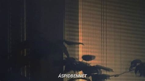 SOFTCORE - The Neighbourhood Lyrics - YouTube