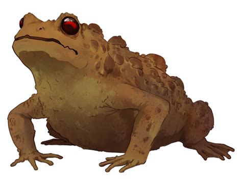 Warty Toad by AlphaStryx on DeviantArt