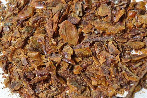 La propolis, une efficace invention de la nature - Annuaire Vert
