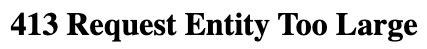 What Is a 413 Request Entity Too Large Error & How to Fix It