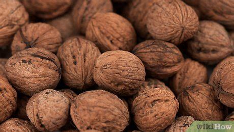 how to open black walnuts