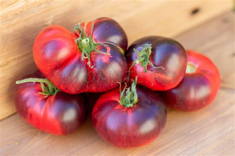 РОЗОВЫЙ СИБИРСКИЙ ТИГР — BTomate