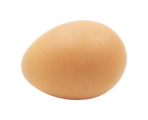 An Egg png 9887142 PNG