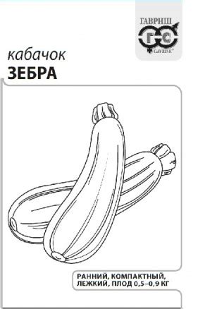 КАБАЧОК