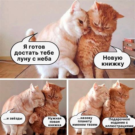 Мемы про книги: советы Оруэлла, надежды читателей, империя Муми-мамы и ...