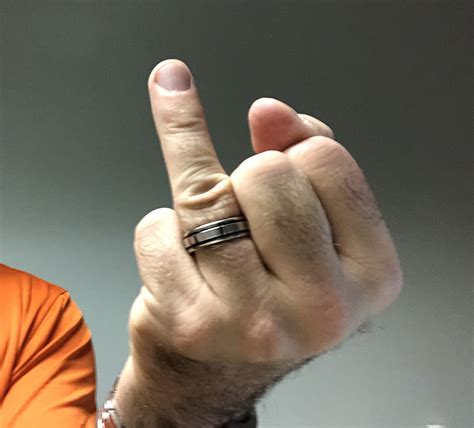 craigslist new york city pets 7