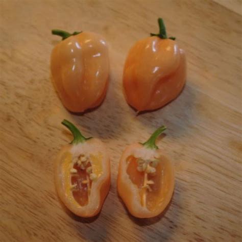 Купить семена перец чили Персиковый Хабанеро (Peach Habanero Pepper)